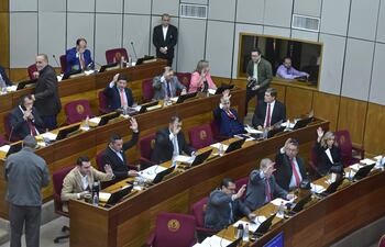 Por amplia mayoría de votos fue aceptado la objeción total del presidente Mario Abdo Benítez al proyecto de ley que pretendía transparentar la estructura de costos del gasoíl.