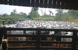 Entre los bienes del grupo se destacan 8 estancias, como Cielo Azul, valuadas en US$ 68 millones.