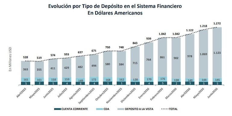 Evolutivo depósitos públicos en dólares al primer semestre