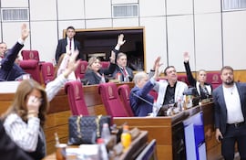 Sesión del Senado. Foto de Prensa Senado.