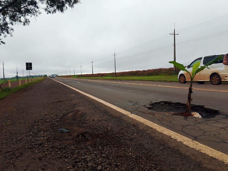Carretera rural en día nublado con un árbol emergiendo de un bache, y un automóvil blanco estacionado al costado.