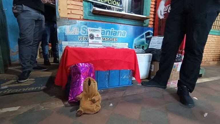 El peluche de carpincho en cuyo interior se hallaron dosis de distintos tipos de drogas, en la Terminal de Ómnibus de Concepción.