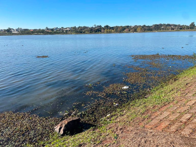 Paisaje natural con cuerpo de agua, vegetación en la orilla y cielo despejado, sin personas visibles.