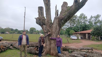 Hombre robusto con chaqueta azul y dos mujeres con abrigos, observan un tajy antiguo rodeado de vegetación y troncos apilados.