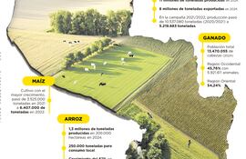 Ganadería, granos y forestal escriben el relato económico