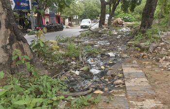 El paseo central de la avenida 21.ª Proyectada es un chiquero.
