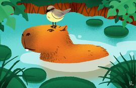 Los carpinchos son animales extremadamente pacíficos y sociables. Se los ha visto interactuar con otras especies sin mostrar agresividad.