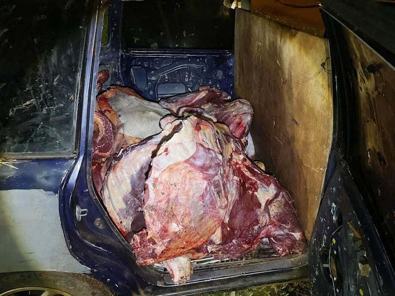 En el vehículo de los criminales fueron encontrados restos de cuatro animales vacunos faneados.