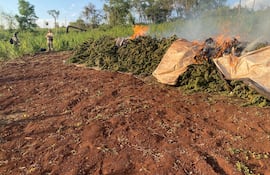 Los agentes de la Senad destruyeron la totalidad de la droga incautada en el lugar allanado.