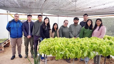Estudiantes de la carrera de Ingeniería Agropecuaria de la UNP posan frente a una cantidad de lechugas que fueron plantadas en una parcela demostrativa en el campus universitario.