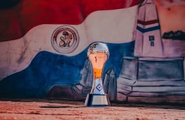 Trofeo de la Copa Paraguay. El evento otorga al campeón una plaza a la Copa Libertadores, con la salvedad que el clasificado debe ser un club de la máxima categoría.