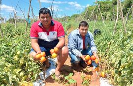 Tomateros, Gustavo Martínez (I) y Héctor Viera (D), mostrando sus productos de primera calidad que serán exportados a la Argentina.