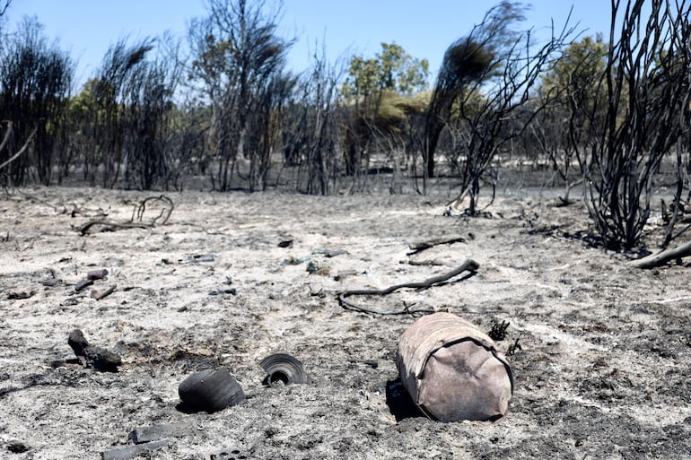 El incendio forestal que se declaró el miércoles por la tarde en el municipio de Rábano de Aliste (Zamora) ha descendido su nivel de peligrosidad y ha pasado a nivel 1 en el índice de gravedad potencial (IGR), al desaparecer el riesgo para su casco urbano. EFE