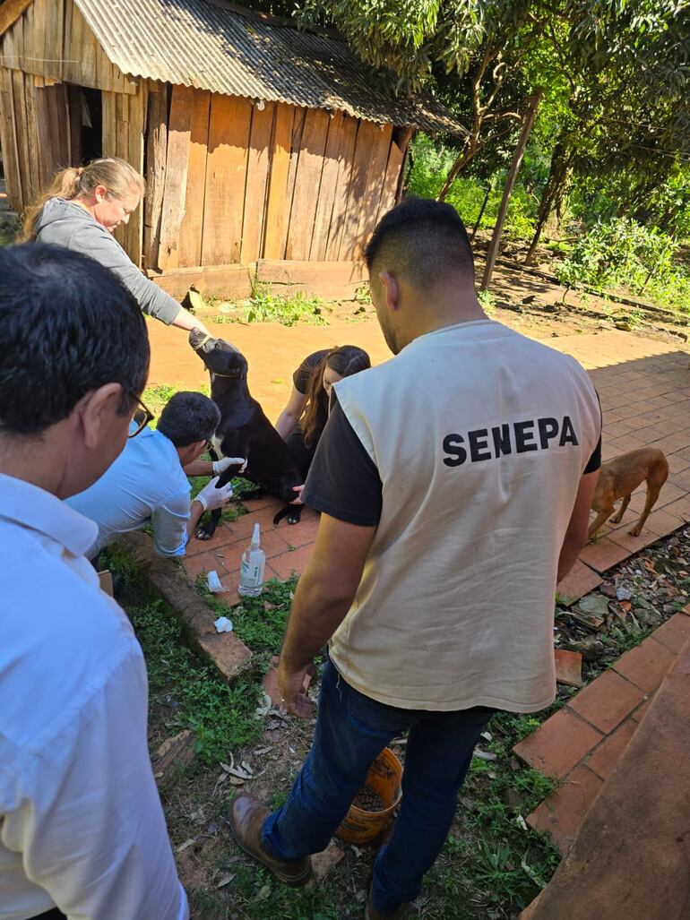 Trabajos de funcionarios de SENEPA en el marco de la lucha contra la Leishmaniasis.