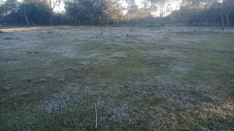 Terreno cubierto de escarcha en paisaje de césped seco. Ambiente frío y sereno, sin personas presentes.