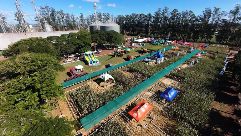 Grupo Agro Mertin consolida su expansión en Paraguay