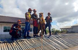 Bomberos de Río Grande do Sul rescatan al caballo Caramelo del techo de una casa en la ciudad de Canoas, Rio Grande do Sul.