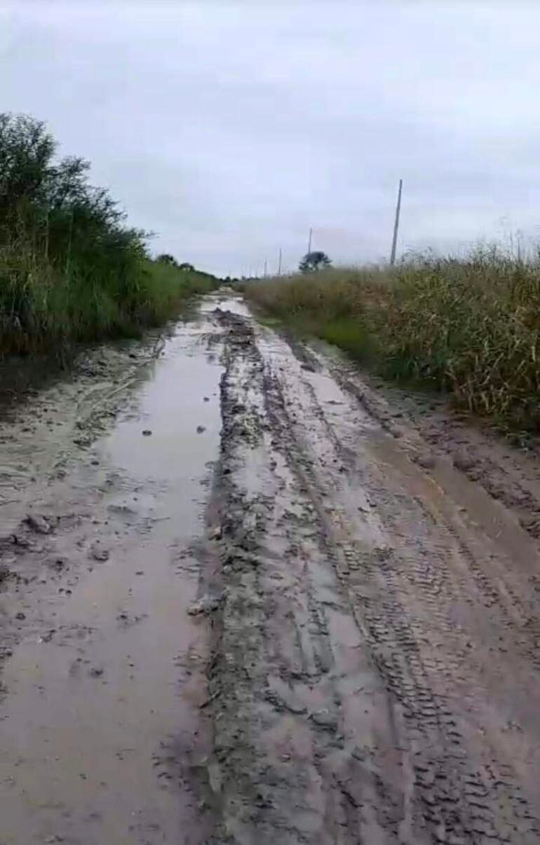 Camino de tierra lleno de barro y agua estancada, flanqueado por vegetación alta en un ambiente nublado.