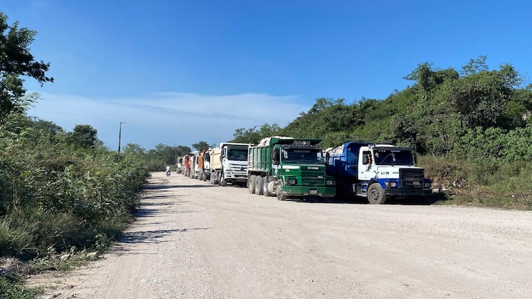 Fila de camiones estacionados en camino de tierra, rodeados de vegetación y cielo despejado.