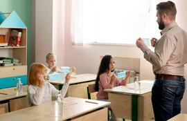 El modelo de Cohen (1998 y 2004) describe seis formas de actuación del mentor en el desarrollo profesional, cada una definida por un conjunto de competencias. La integración de estas seis facetas da forma a un mentor completo y eficaz.