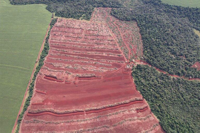 Terreno deforestado en Itakyry, mostrando contrastes entre áreas de tierra removida, campo verde y bosque.