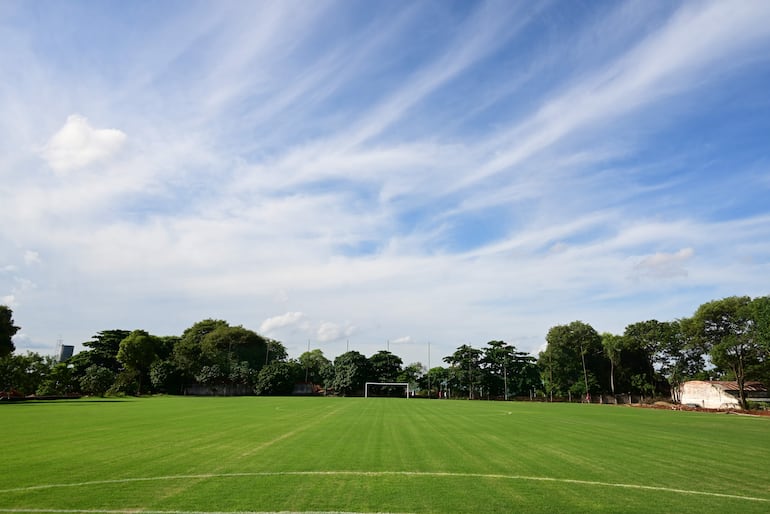 Campo de fútbol vacío con césped bien cuidado y líneas blancas, rodeado de vegetación bajo un cielo despejado.