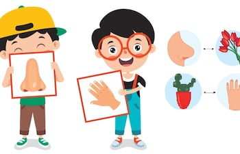 Cuidado e higiene de los sentidos del tacto y del olfato