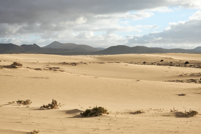 Parque Natural de las Dunas de Corralejo, Fuerteventura, Islas Canarias, España.