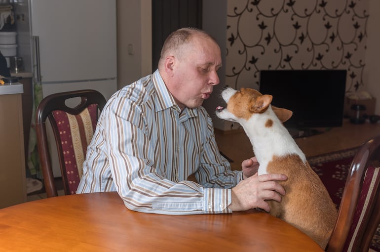 ¿Se puede reeducar a un perro que aprendió malos comportamientos?