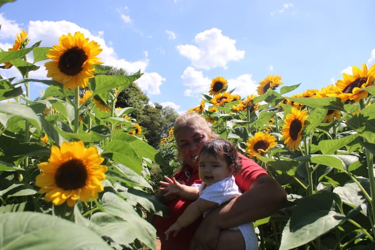 Mirna Bogar&iacute;n y su nieta disfrutan de un paseo entre los girasoles en plena floraci&oacute;n.
