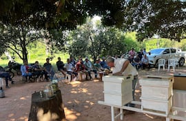 La asistencia del proyecto incluye todos los insumos necesarios para la producción de la miel de abeja a cargo de los pequeños productores