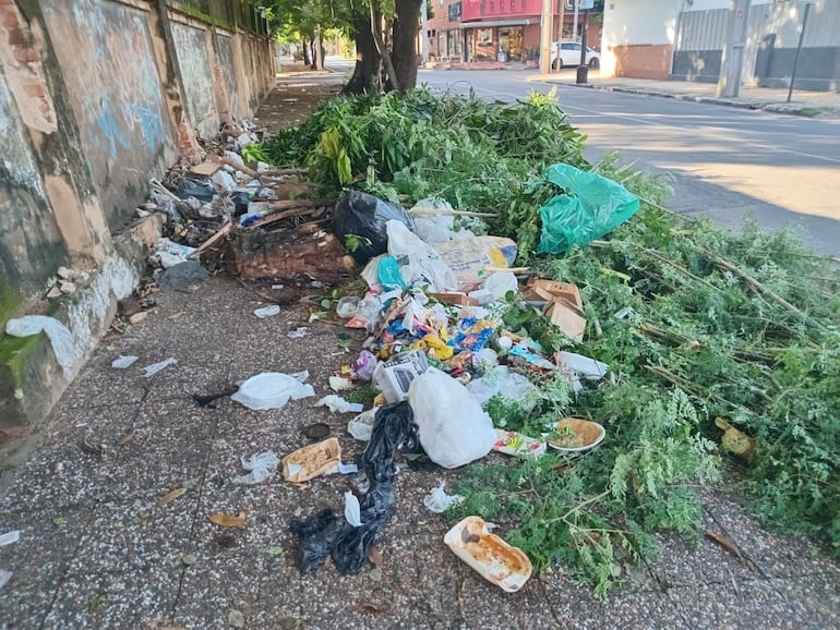 Basural sobre Cuarta Proyectada, entre Caballero e Iturbe, Asunción