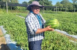 Ignacio Fariña realiza la cosecha de sandía en la producción que mantiene en su finca, ubicada en la ciudad de San Miguel, Misiones.