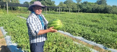 Ignacio Fariña realiza la cosecha de sandía en la producción que mantiene en su finca, ubicada en la ciudad de San Miguel, Misiones.