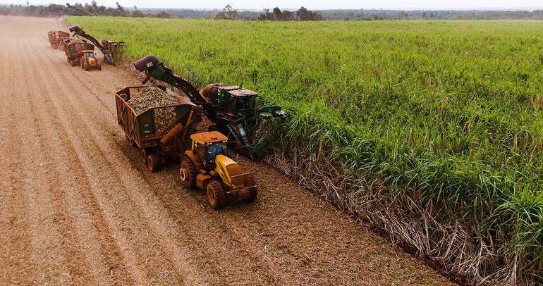 "Apostamos por la región y desarrollamos una operación que hoy incluye más de 6.500 hectáreas de cultivo propio de caña de azúcar", destaca Lopes.