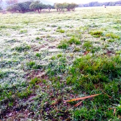 Primeras escarchas se registran en Escobar e Ybytymí del departamento de Paraguarí.