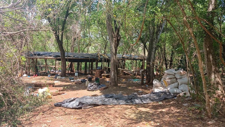 La Policía encontró droga, "narcocampamentos" y otras evidencias en el lugar allanado.