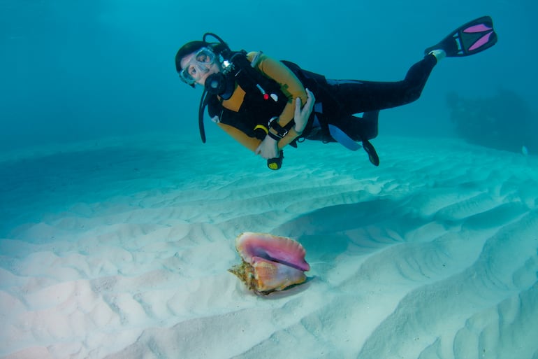 Harbour Island, Bahamas.