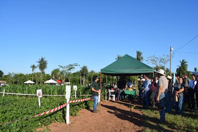 Durante la expo, los alumnos presentaron innovadoras propuestas de producción en las parcelas demostrativas.