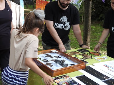 Realizarán jornada gratuita para registrar murciélagos urbanos en Asunción