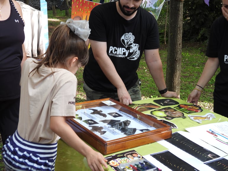 Invitan al Cuarto Conteo Navideño de Murciélagos en el Parque de la Salud
