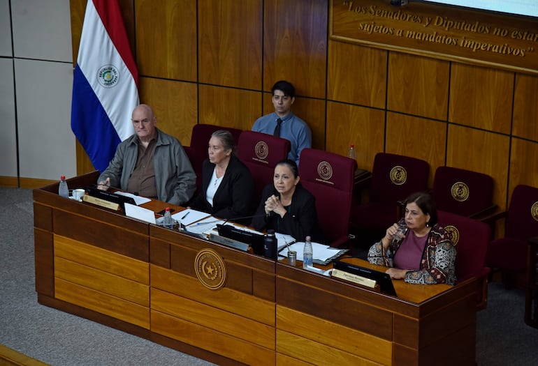 Mujer hablando en el centro de una mesa, con tres personas escuchando atentamente. Hombre de pie observa, ambiente legislativo con decoraciones de madera.