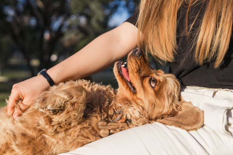 Perro y su humana.
