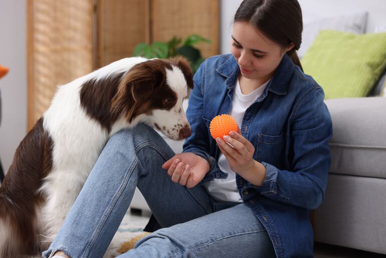 Los perros entienden mucho más de lo que creemos.