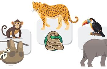 Animales de la selva