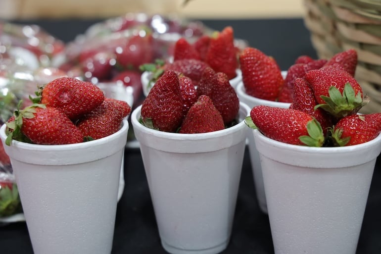 vasos blancos cargados con frutillas
