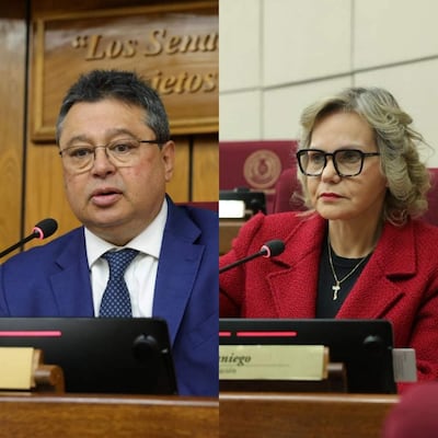 Gustavo Leite y Lilian Samaniego se enfrentan.
