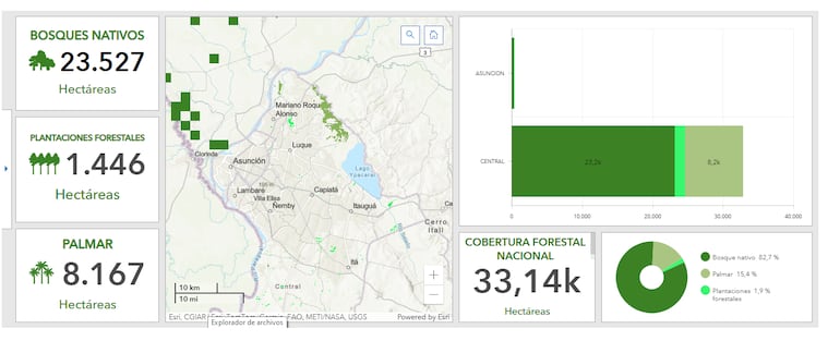 Situación forestal en Asunción y Central.