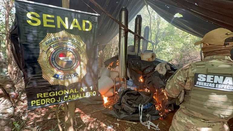 Los agentes de Senad, destruyeron la droga incautada durante varios allanamientos en Capitán Bado.