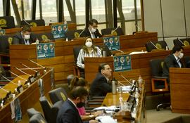 Diputados del tercer espacio de la oposición integrada por PEN, PPQ y Hagamos votaron en contra.